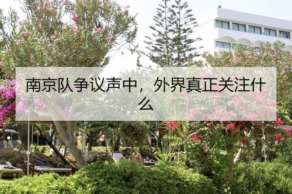 南京队争议声中，外界真正关注什么